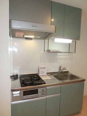 Kitchen. System kitchen