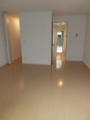 Other room space. Flooring
