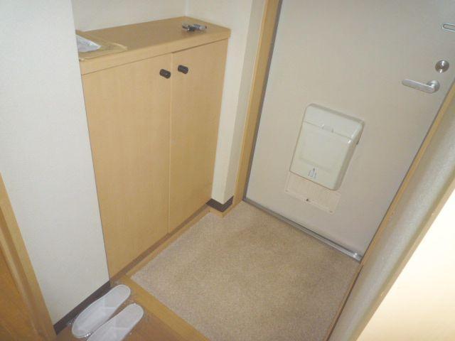 Entrance. The entrance, There is a shoe box.