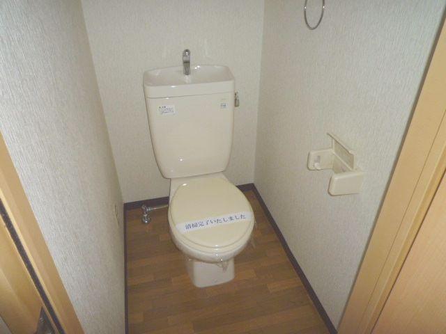 Toilet. It is a toilet with a clean.