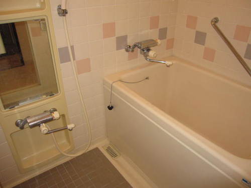 Bath. Bathroom (interior ago)