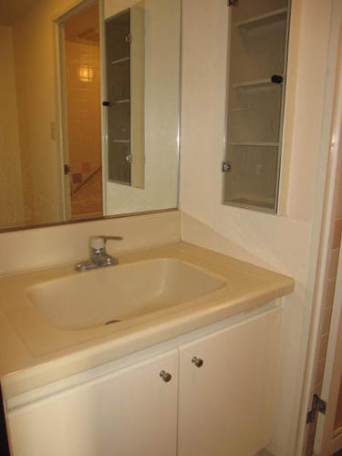 Washroom. Vanity (interior ago)