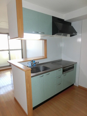 Kitchen. Popular counter kitchen