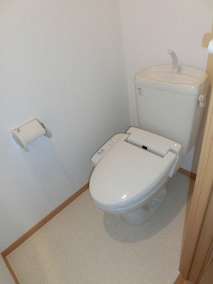 Toilet. Cleaning toilet seat