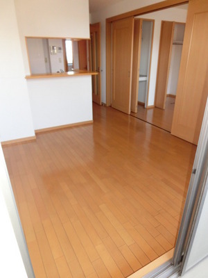 Living and room. Clean living