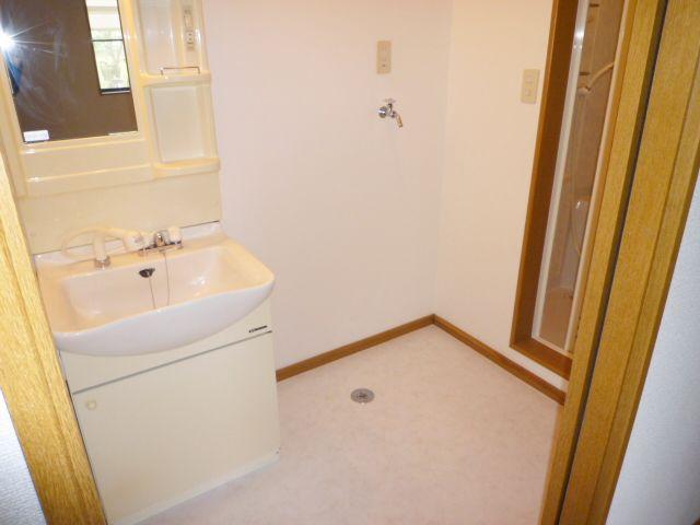 Washroom. With shampoo dresser