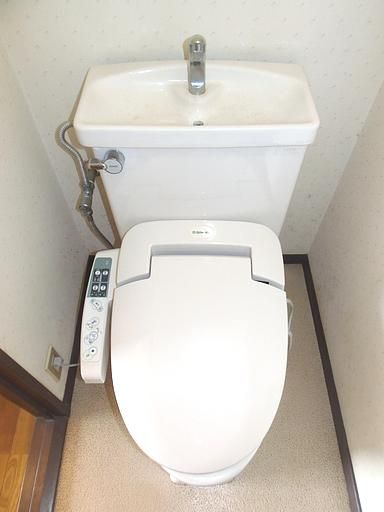 Toilet. I am glad Western Toilet