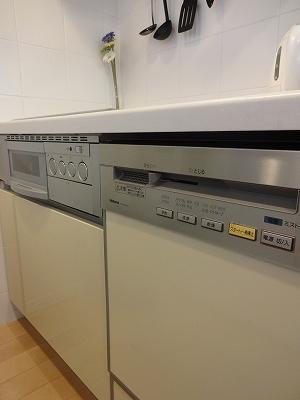 Kitchen. It is with a dishwasher