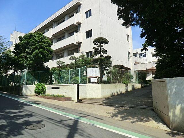 Other. Funabashi legislation Tanaka school