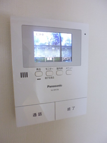 Other Equipment. Is a TV monitor phone with peace of mind!