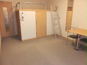 Living and room. With build high bed under the bed is a storage space of large capacity