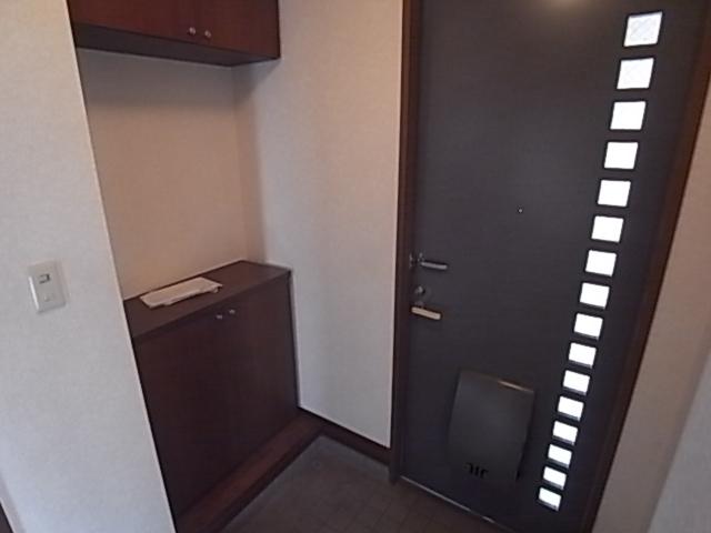 Entrance. Also comes with a shoe box. .