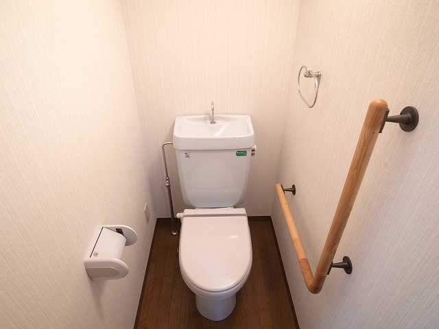 Toilet. Ass is with the warmth of warm toilet.