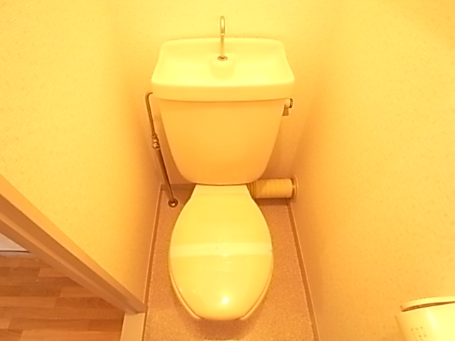 Toilet. Toilet shiny.