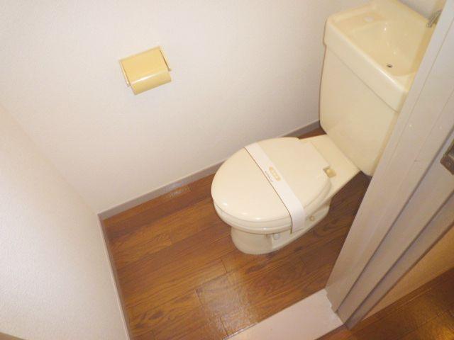 Toilet. Beautiful Western-style toilet