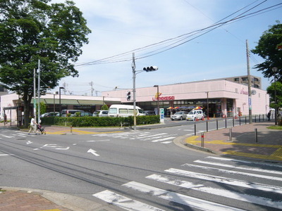 Supermarket. Libre Keisei until the (super) 750m