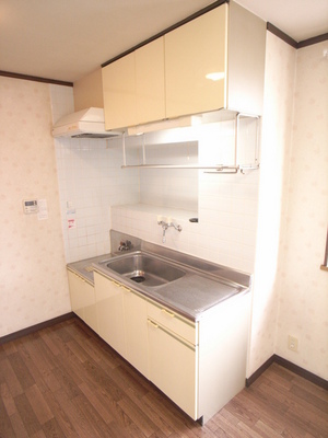 Kitchen. Large kitchen ☆