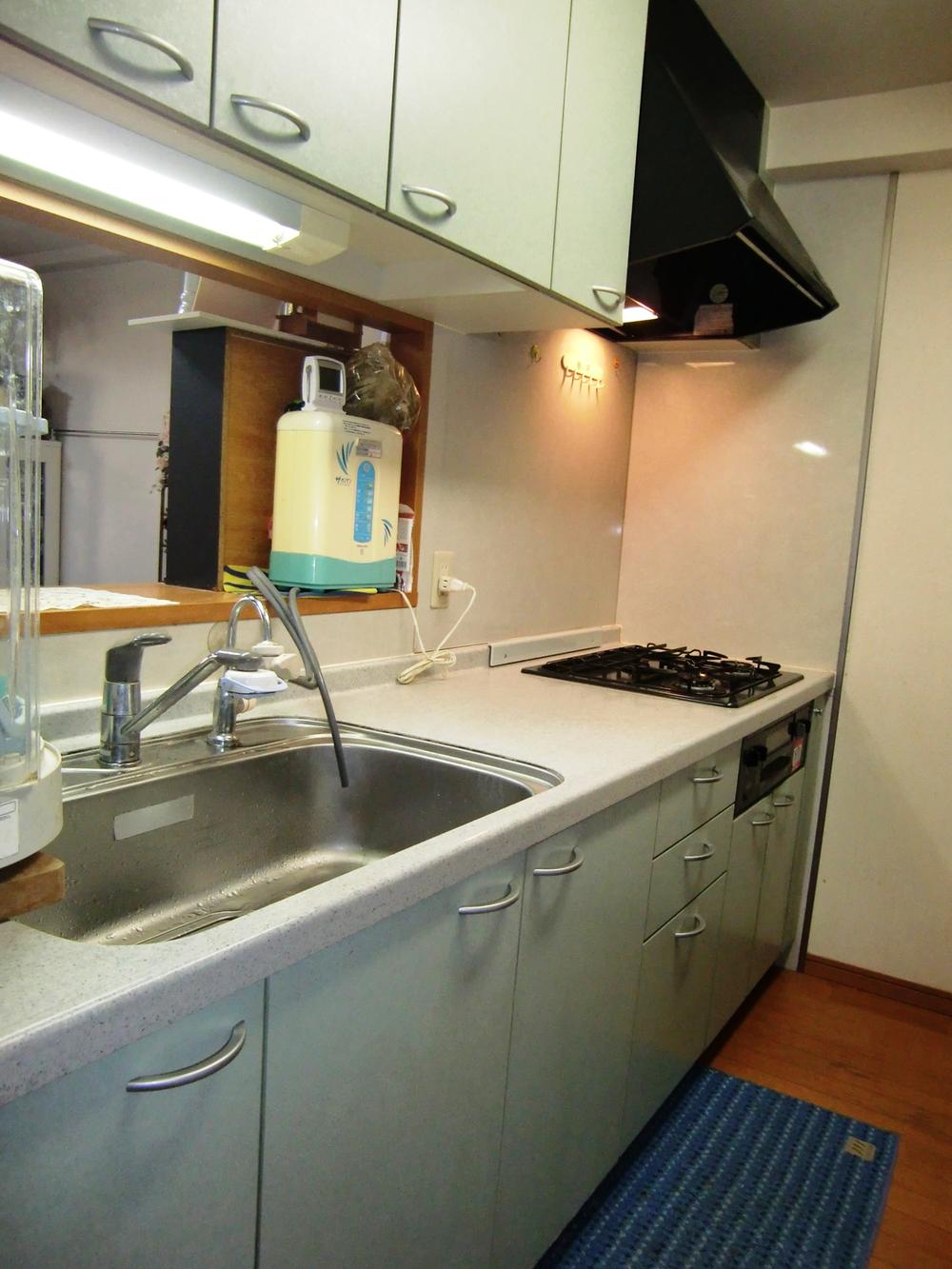 Kitchen. Counter kitchen that can cook while watching the garden!