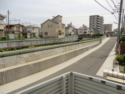 View. Without a front wing is good per yang