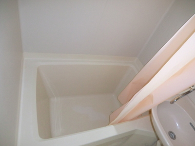 Bath. Bright bathroom