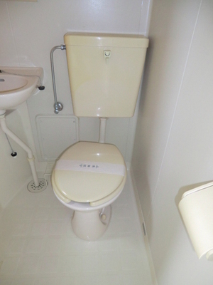 Toilet. It is a western style of your toilet