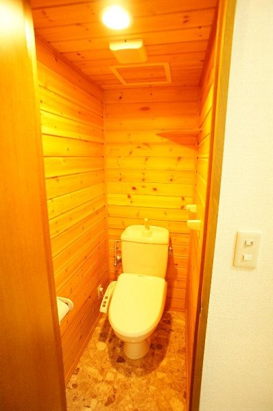 Toilet. Stylish toilet