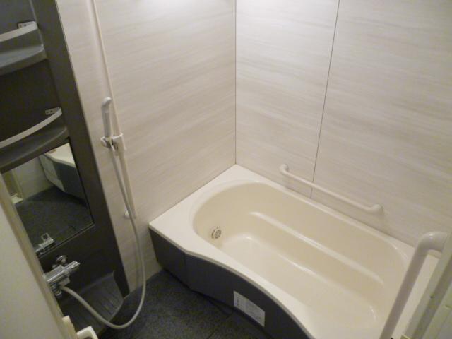 Bathroom. Indoor (10 May 2013) Shooting