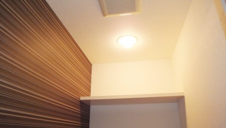 Toilet. Toilet storage rack