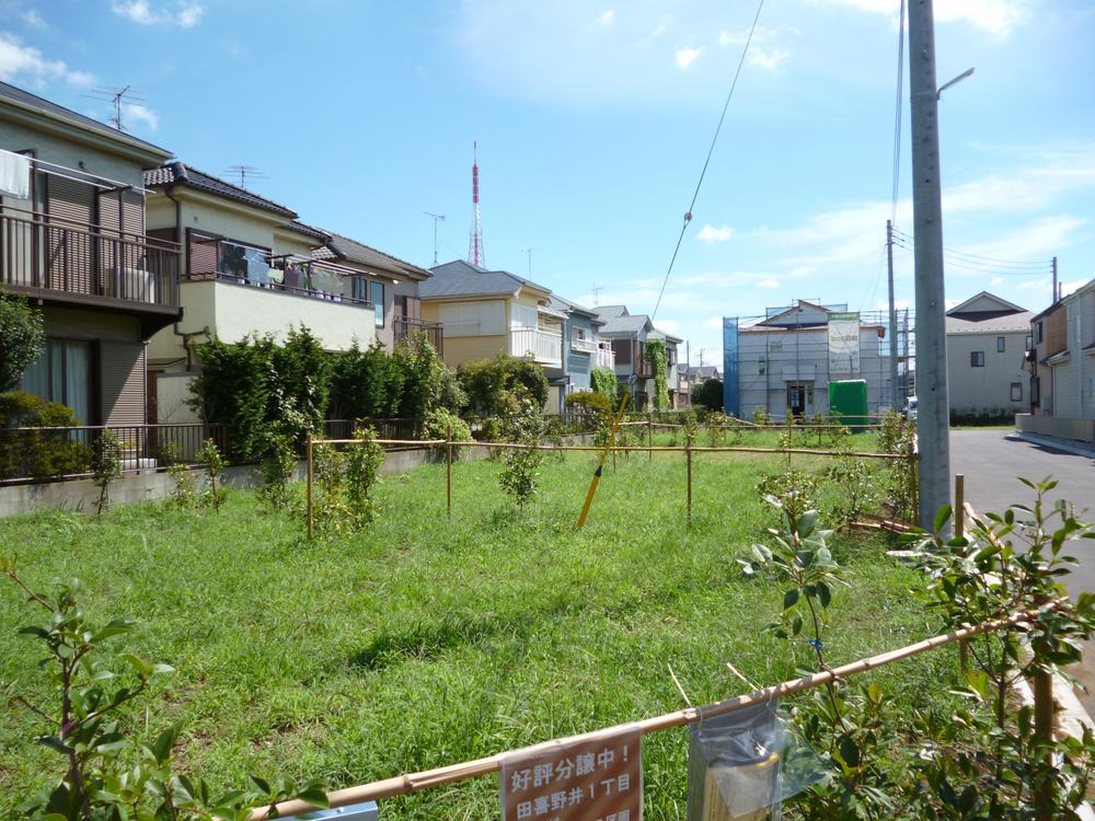 Local land photo. Local (September 2013) Shooting