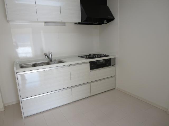 Kitchen. 3 Pledge of kitchen with room for cooking. System kitchen does not cookware is bulky in the slide housing.