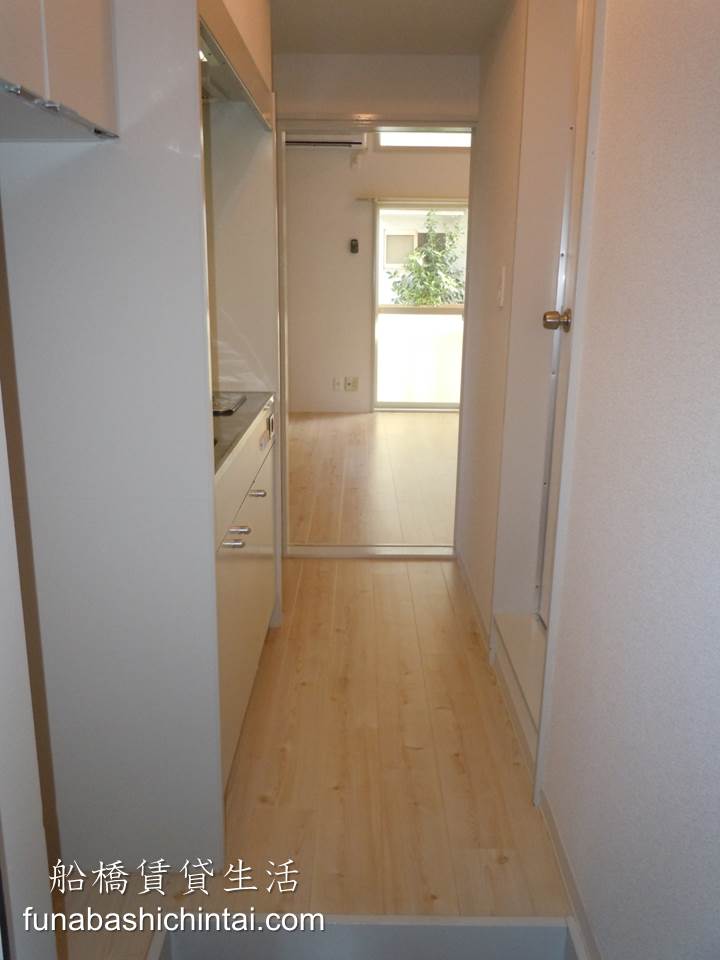 Other room space. Oneness of the hallway and the living room. 