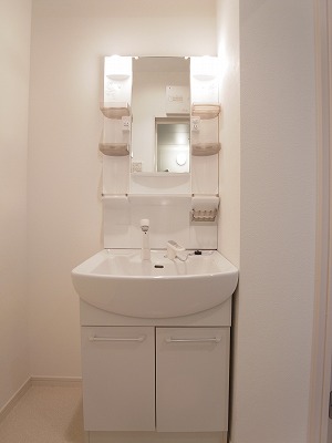 Washroom. Separate vanity