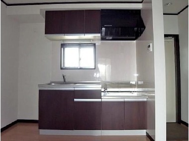 Kitchen. Chic shades of kitchen