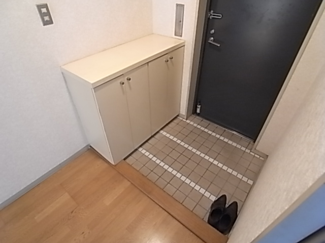 Entrance. Entrance also spacious. Also there of course entrance storage.