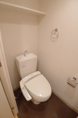 Toilet. Warm water washing toilet seat