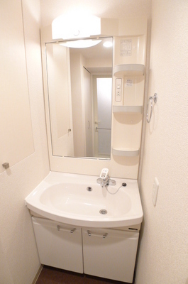 Washroom. Bathroom vanity