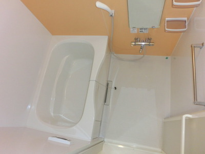 Bath. Clean bathroom