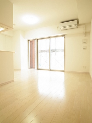 Living and room. Grinded very bright beautiful living with air conditioning!