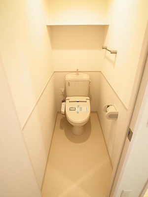 Toilet. Bidet function with the happy toilet ☆