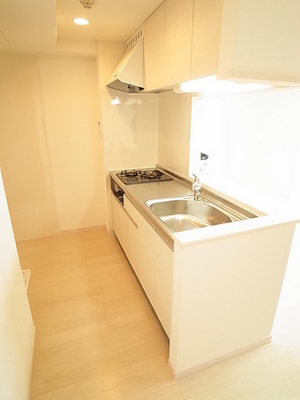 Kitchen. Two-neck system kitchen with a grill ☆