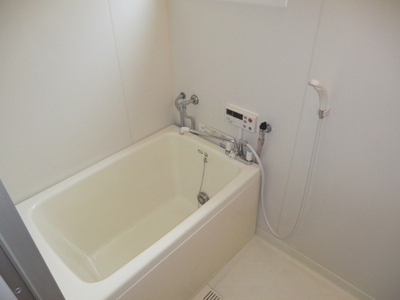Bath. Spacious bathroom