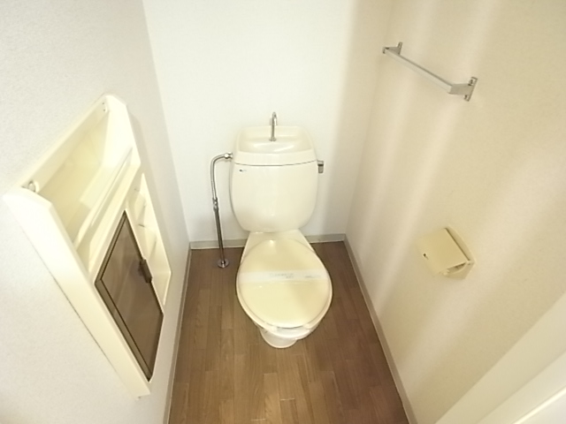 Toilet. Toilet I always clean.