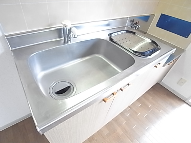 Kitchen. It is shiny with 2 lot gas stoves installed Allowed.