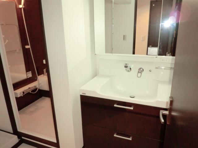 Wash basin, toilet. Space a cohesive color scheme that was unified with the bathroom, Wash room