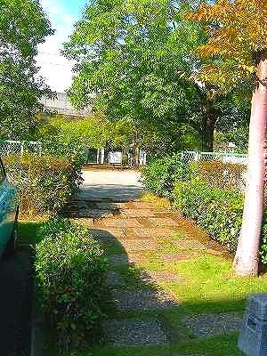 Other. park