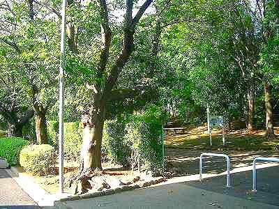 Other. park