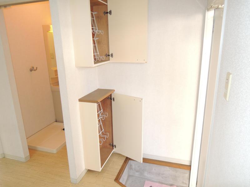 Entrance. Shoe box equipped in the front door