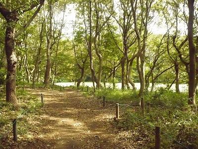 park. 1725m until the forest of citizens