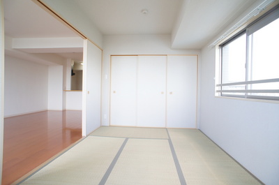 Living and room. Two-sided lighting