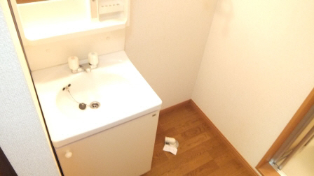 Entrance. There is also a washing machine inside the room.